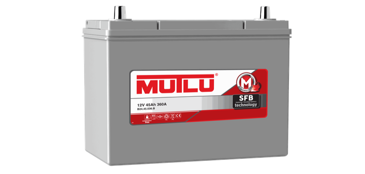 SFB Japanese Type Batteries